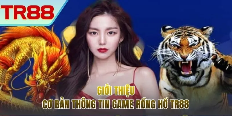 Cơ bản thông tin chinh phục bài Rồng Hổ TR88